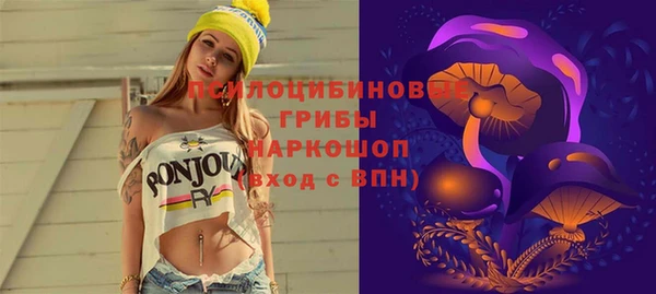 меф Кинешма